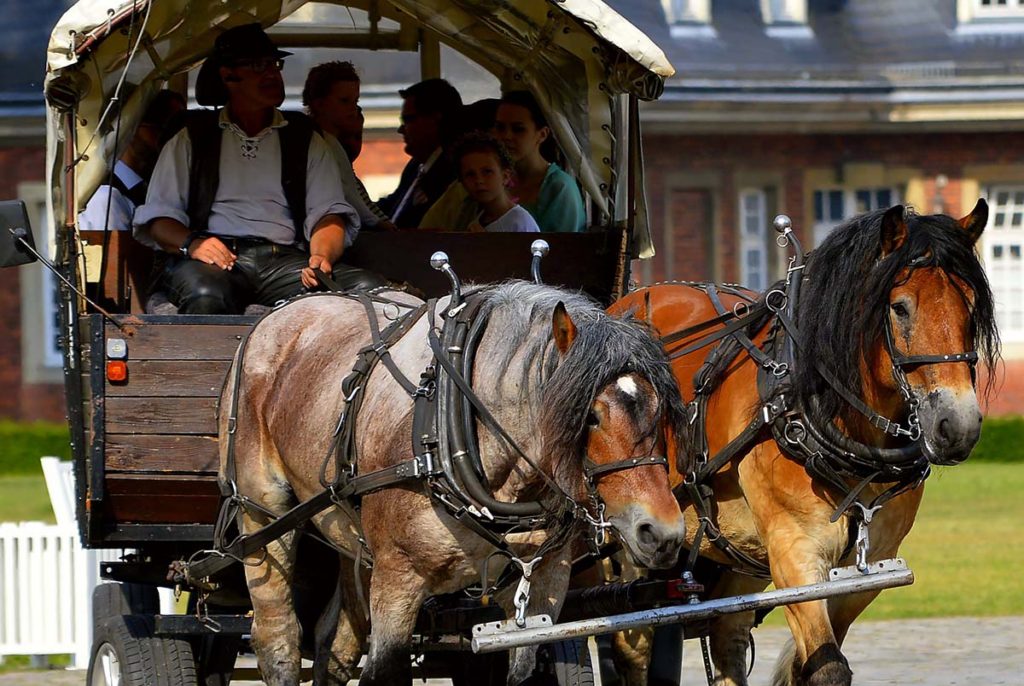 horse-carriage